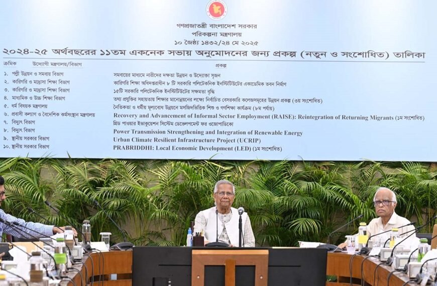 ECNEC meeting held under the…