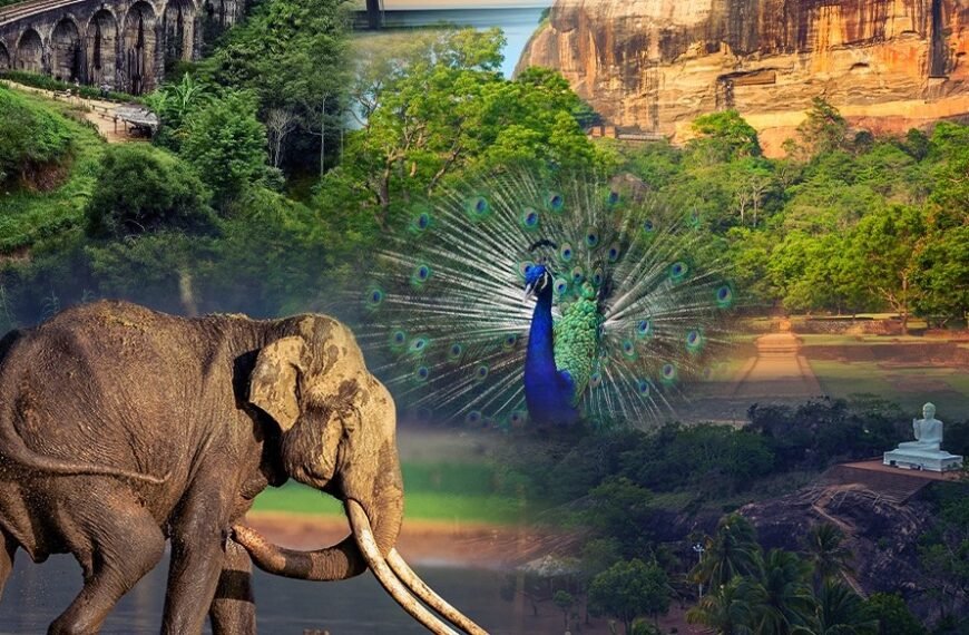 Sri Lanka Tourism Roadshow kicks off in Tamil Nadu: Opening new opportunities in the Indian market