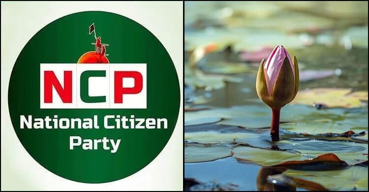 NCP has decided to adopts…