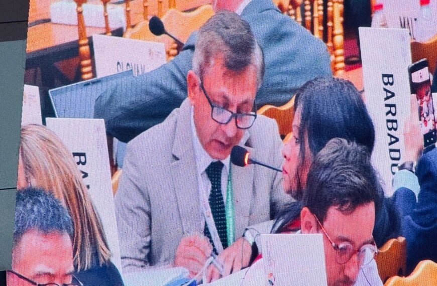 Commerce Minister calls for continuation of special privileges for a certain period after graduation from LDC