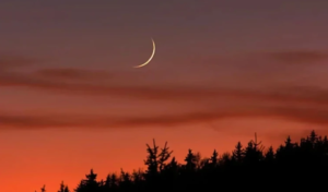 The holy Eid-ul-Azha will be celebrated in Bangladesh&hellip;