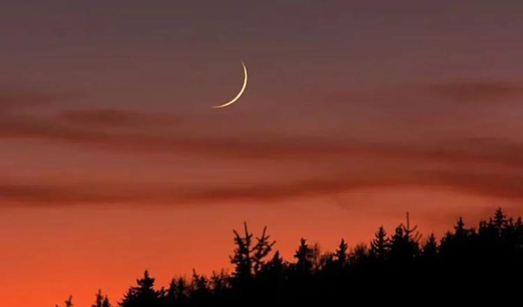 The holy Eid-ul-Azha will be celebrated in Bangladesh on May 28